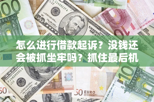 北京怎么进行借款起诉？没钱还会被抓坐牢吗？抓住最后机会！