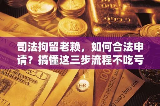 北京司法拘留老赖，如何合法申请？搞懂这三步流程不吃亏！
