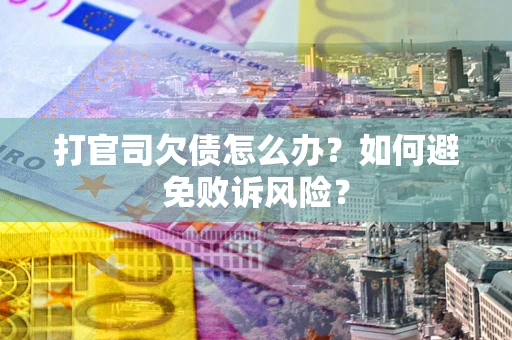 北京打官司欠债怎么办？如何避免败诉风险？