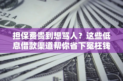 北京担保费贵到想骂人？这些低息借款渠道帮你省下冤枉钱