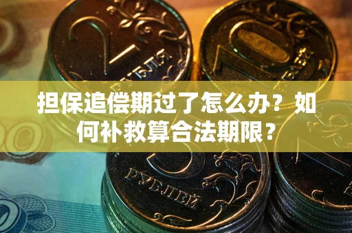 北京担保追偿期过了怎么办？如何补救算合法期限？