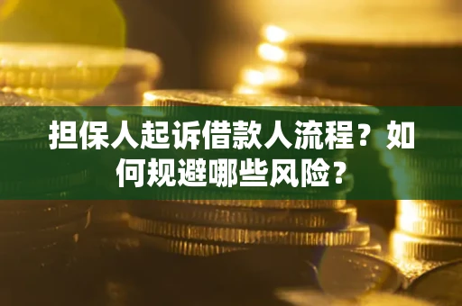 北京担保人起诉借款人流程？如何规避哪些风险？